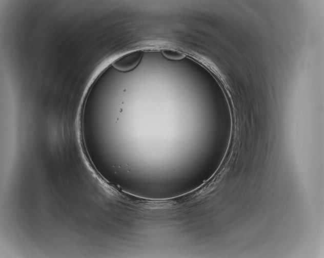X0000115241440200911061138
