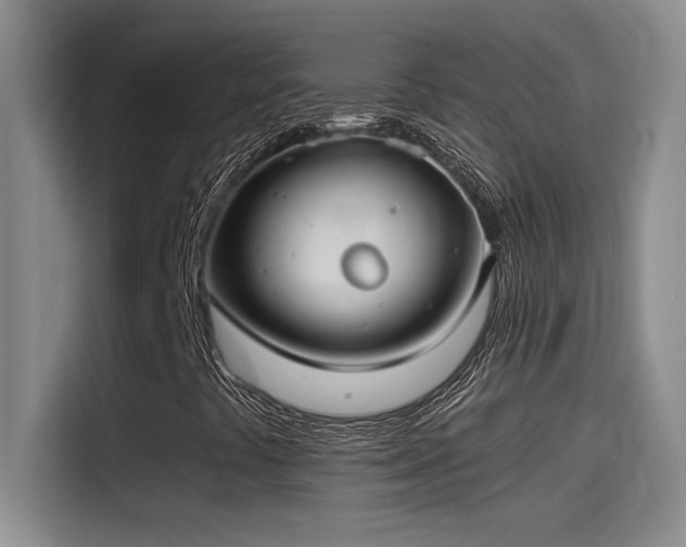 X0000115241441200911061138
