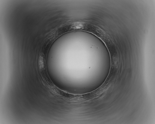 X0000115241442200911061138