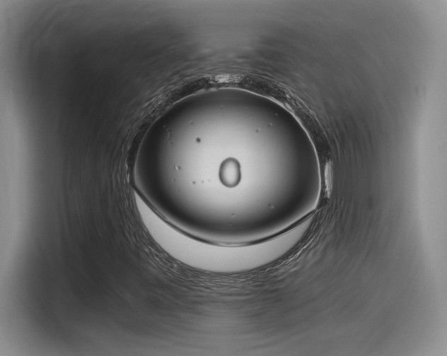 X0000115241443200911061138