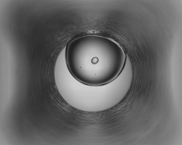 X0000115241444200911061138