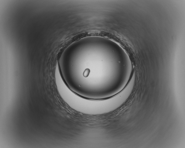 X0000115241445200911061138
