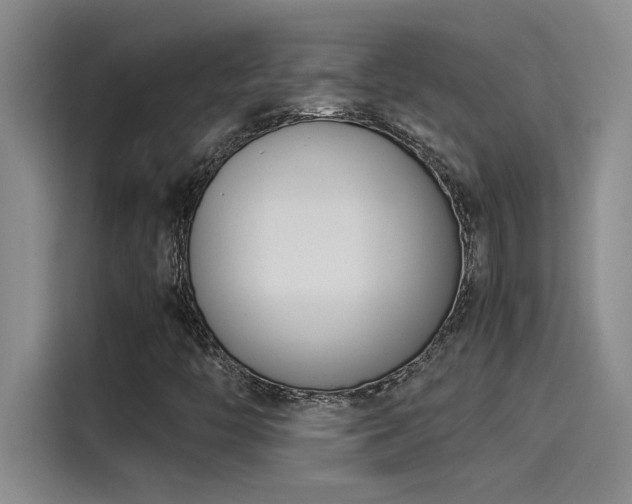 X0000115241446200911061138