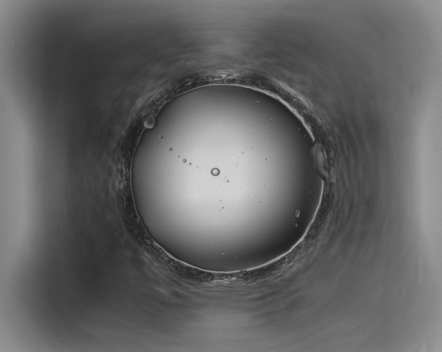 X0000115241447200911061138