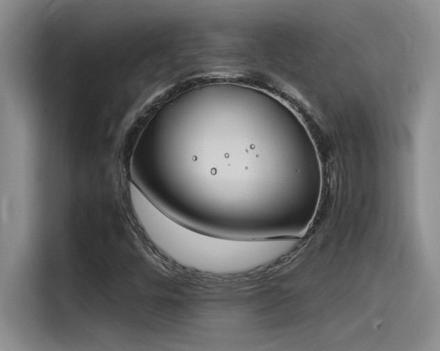 X0000115241448200911061138