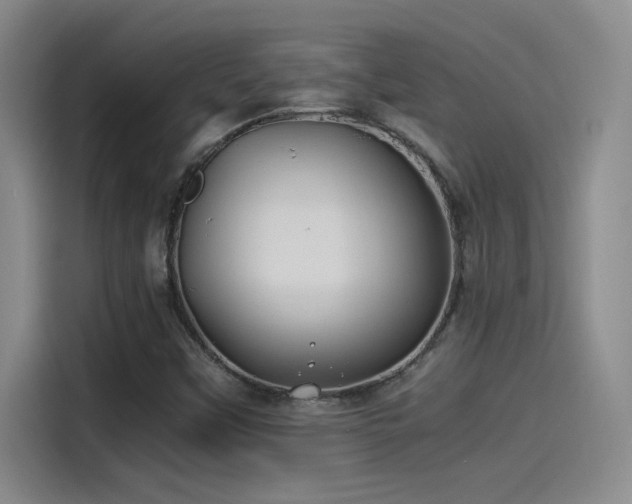 X0000115241451200911061138