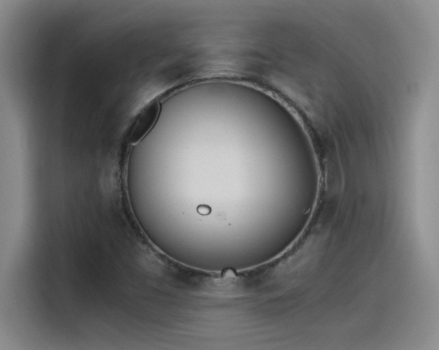 X0000115241453200911061138