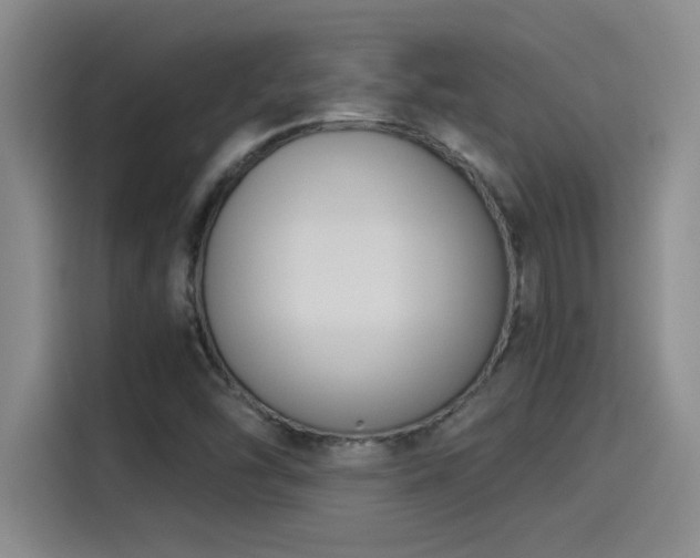 X0000115241454200911061138