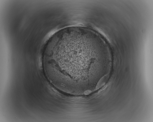 X0000115241455200911061138