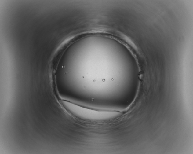 X0000115241456200911061138