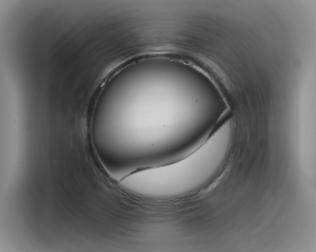 X0000115241457200911061138