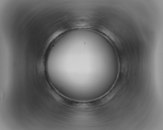 X0000115241458200911061138