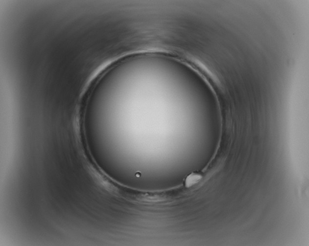 X0000115241460200911061138