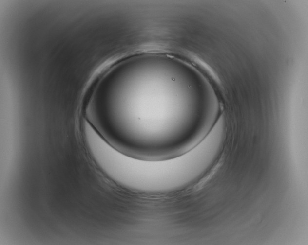 X0000115241461200911061138