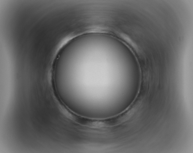 X0000115241463200911061137