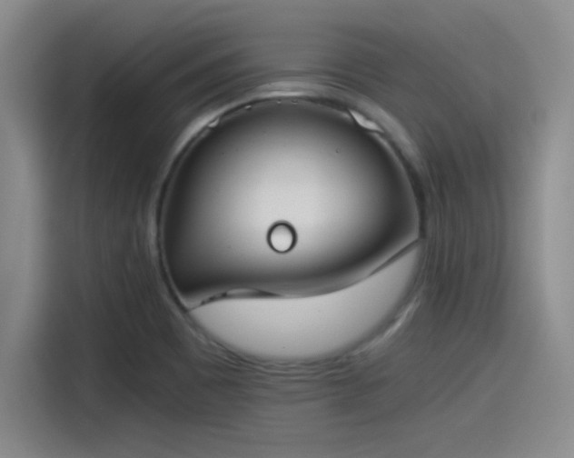 X0000115241465200911061137