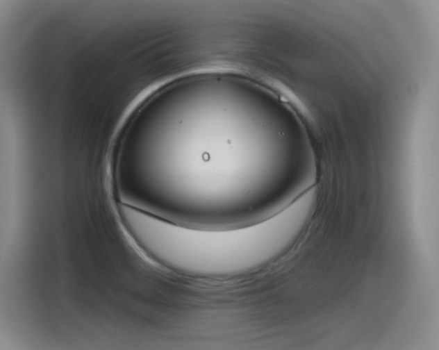 X0000115241468200911061137