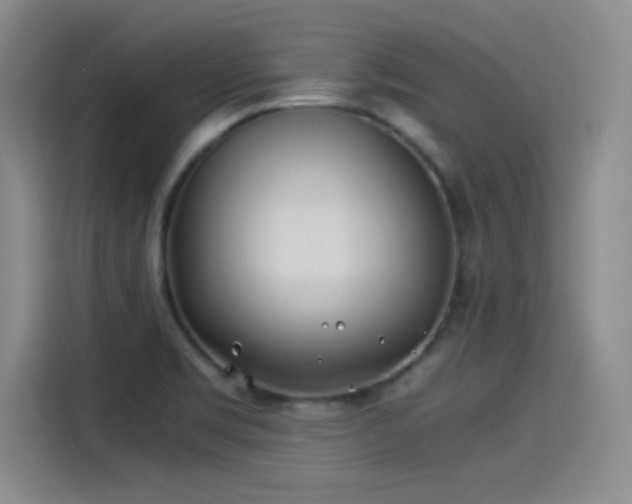 X0000115241469200911061137