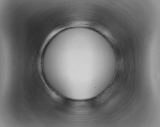 X0000115241470200911061137