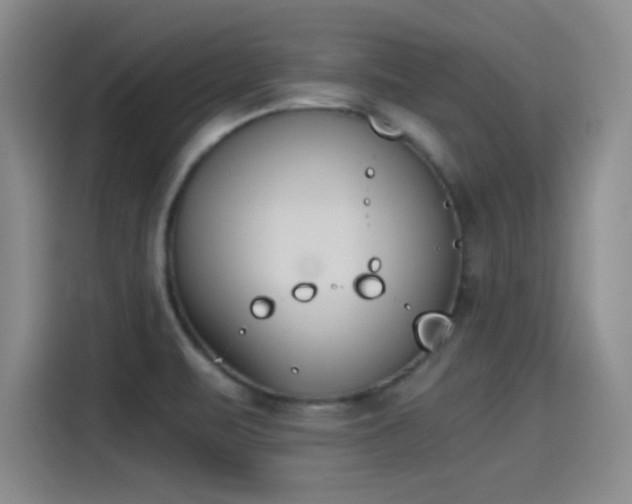 X0000115241471200911061137