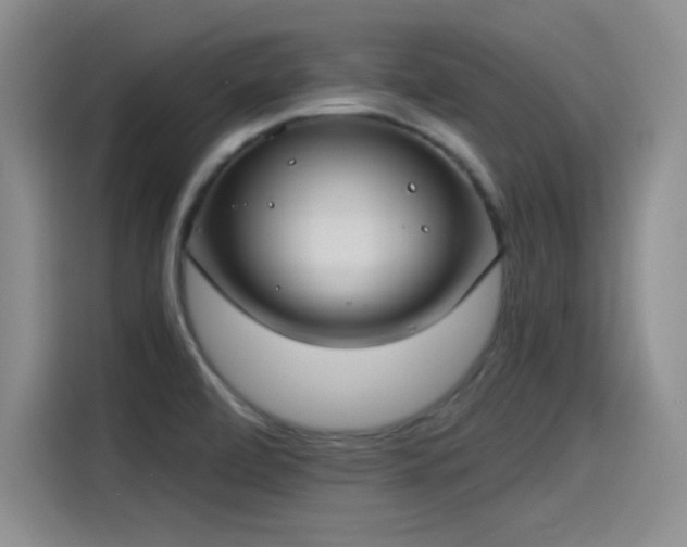 X0000115241472200911061137