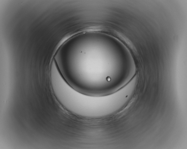 X0000115241473200911061137