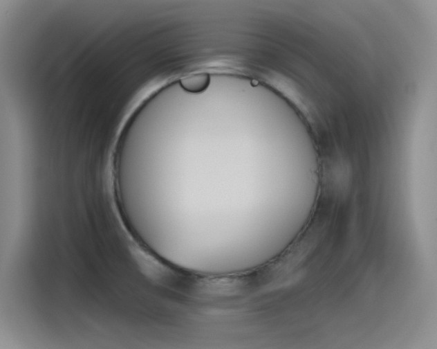 X0000115241474200911061137