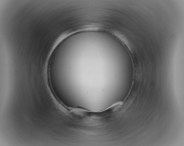 X0000115241475200911061137