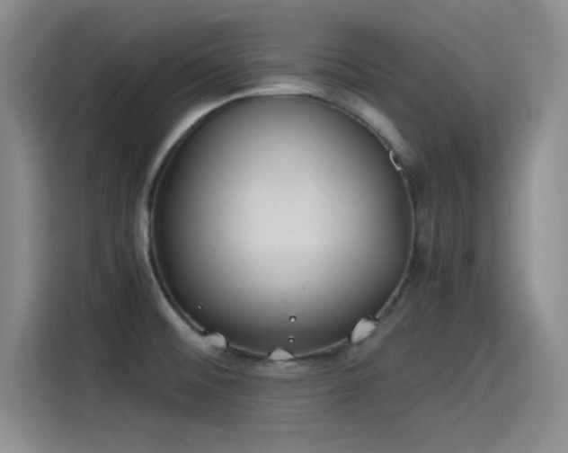 X0000115241476200911061137