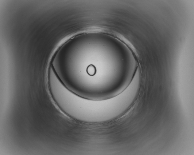 X0000115241477200911061137