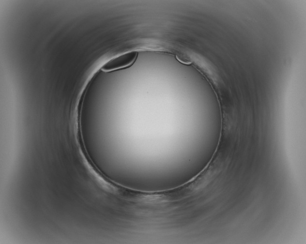 X0000115241479200911061137