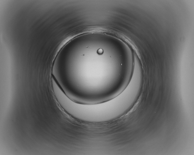 X0000115241481200911061137