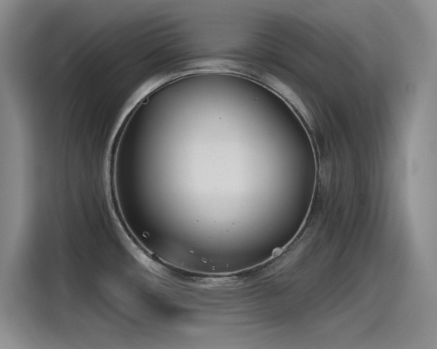 X0000115241482200911061137