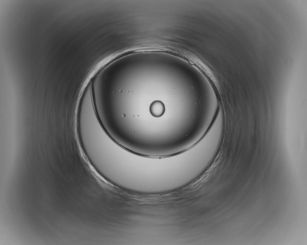 X0000115241485200911061137