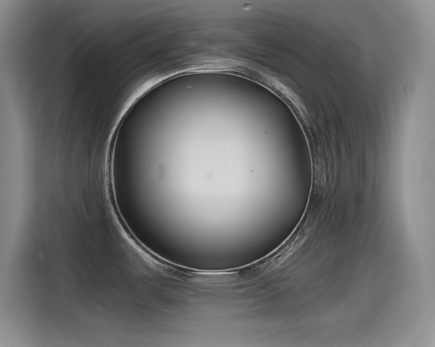 X0000115241487200911061137