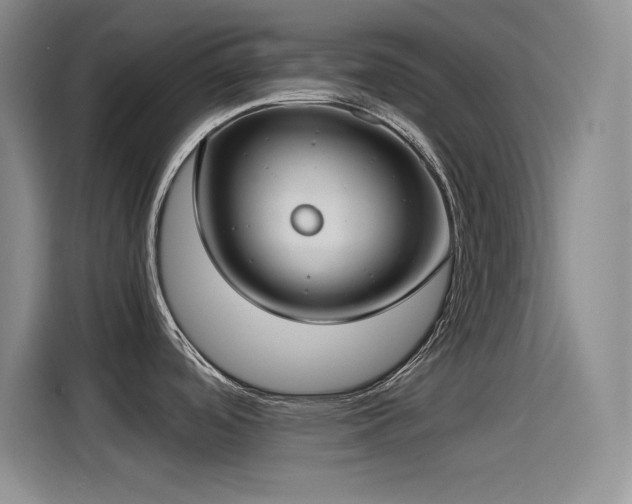 X0000115241488200911061137
