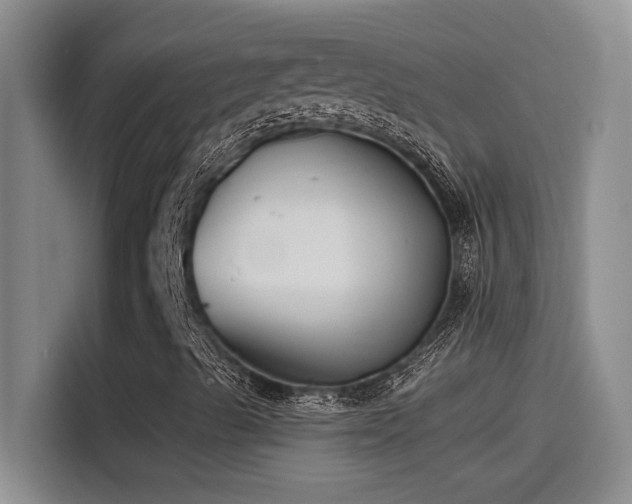 X0000115241489200911061137