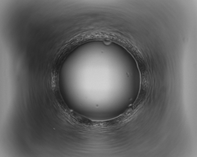 X0000115241490200911061137