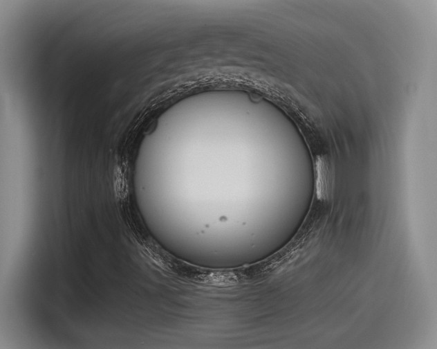 X0000115241491200911061137