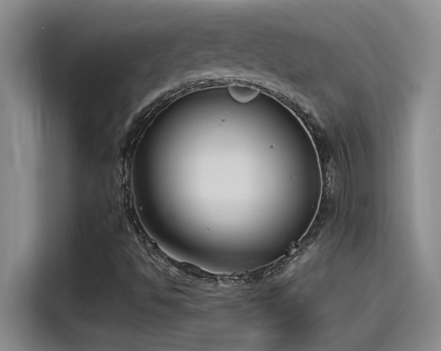 X0000115241494200911061137