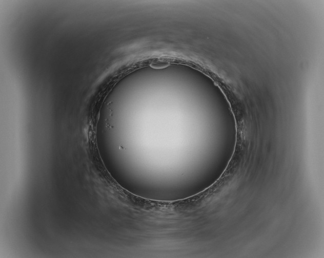 X0000115241495200911061137