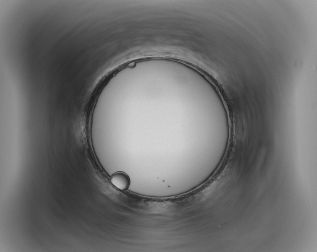 X0000115241498200911061137
