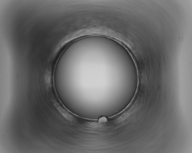 X0000115241499200911061137