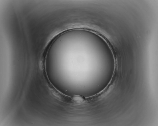 X0000115241501200911061137