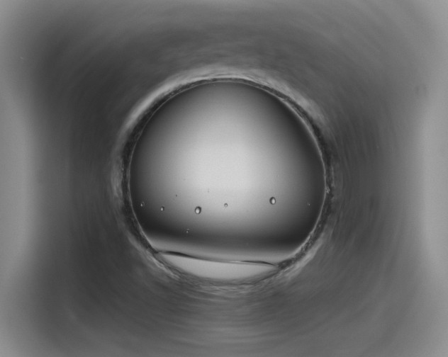 X0000115241502200911061137