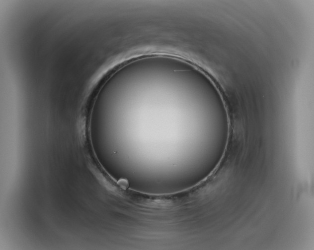 X0000115241503200911061137