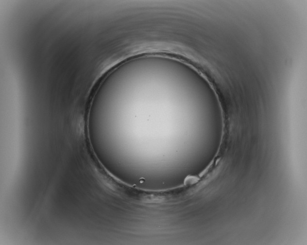 X0000115241505200911061137