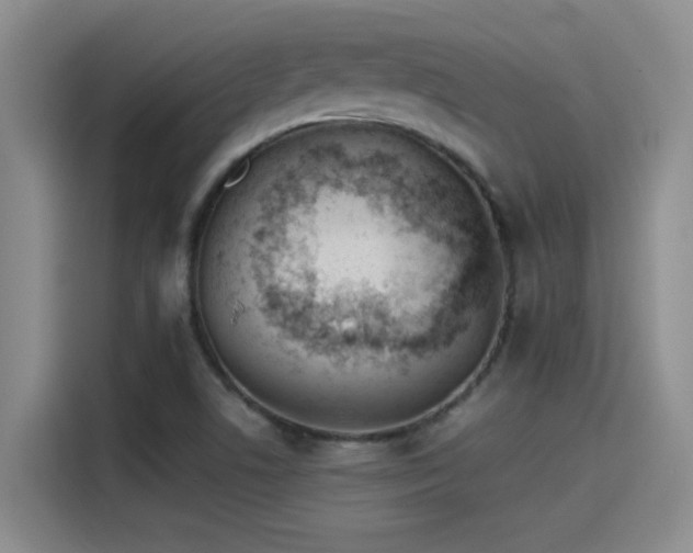X0000115241506200911061137
