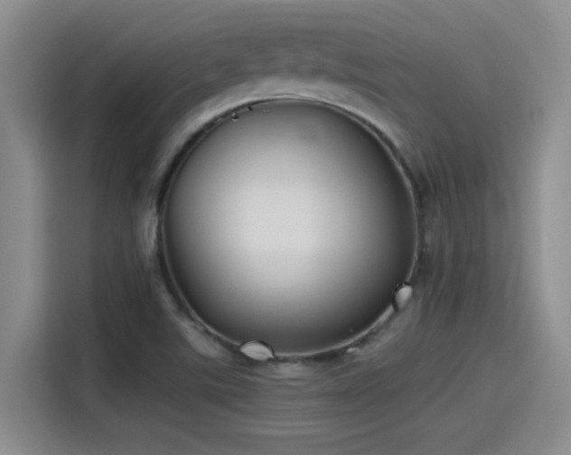 X0000115241507200911061137