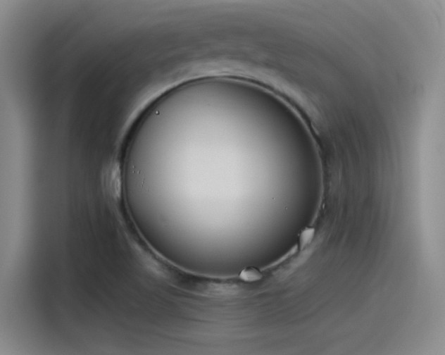 X0000115241509200911061137